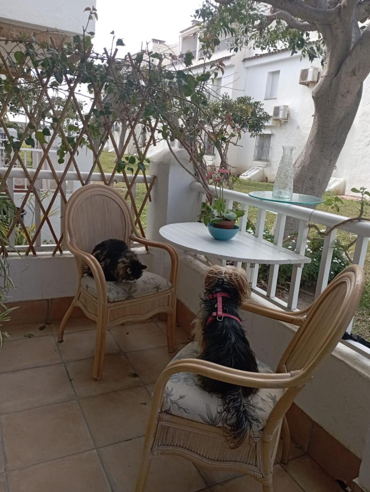 Apartamento Laguna Beach Torrox Costa المظهر الخارجي الصورة